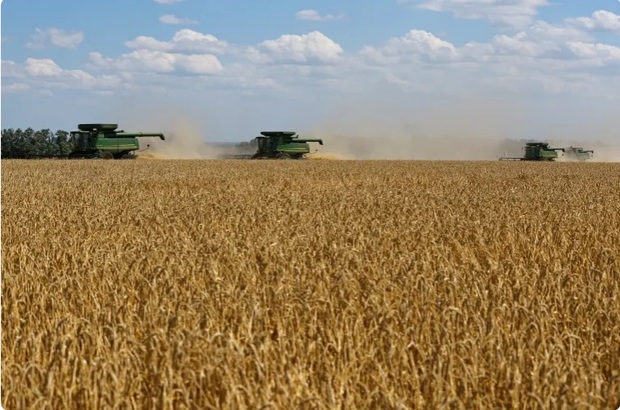 نعمت جنگ علیه ایران برای روسیه/ پوتین خطاب به غرب: گندم ما نفت جدید است و کود هم گاز 