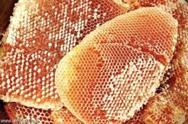 تولید سالانه 172 تن عسل در الیگودرز