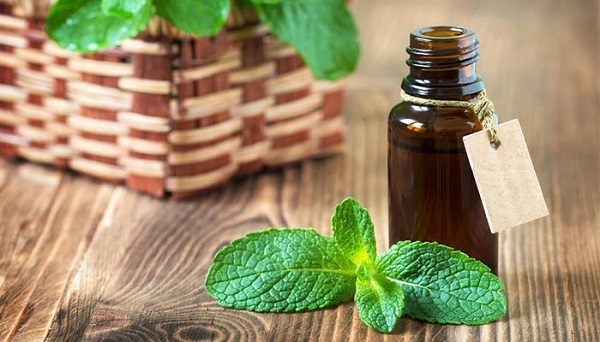 
عصاره این گیاه تپش قلب را آرام می کند