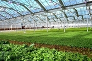 مجتمع گلخانه‌ای ۱۶۳ هزار متر مربعی در منطقه آزاد ارس احداث می‌شود