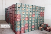 ۶۶۲ تن میوه ویژه نوروز۹۹ در چهارمحال و بختیاری به فروش رفت