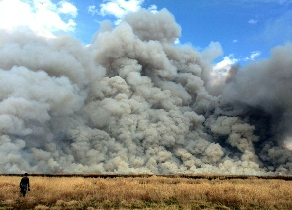 اعلام علت آتش‌سوزی تالاب میقان  باتلاقی بودن منطقه و نیاز به امداد هوایی