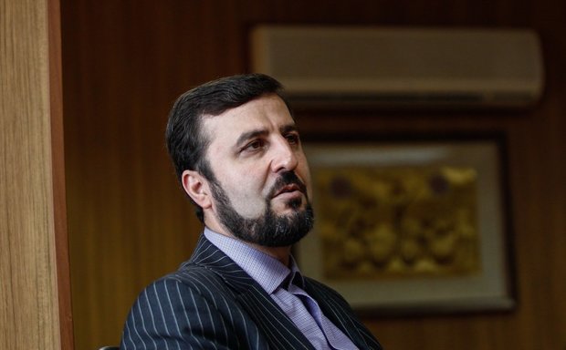 نماینده ایران، معاون اول کمیسیون مواد مخدر سازمان ملل شد