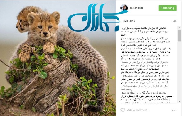 اقدامات سازمان حفاظت محیط زیست برای حفاظت از یوزپلنگ ایرانی 