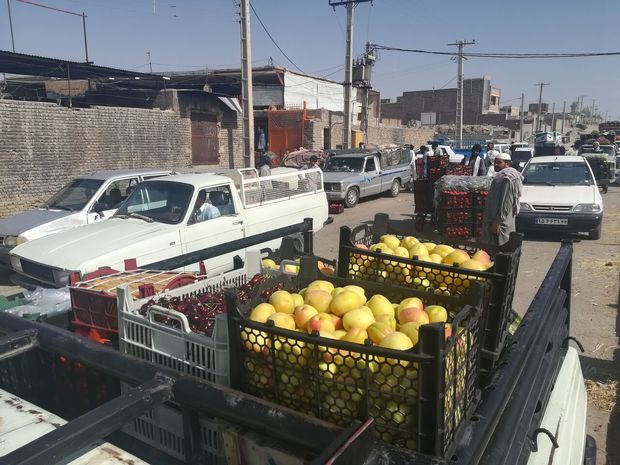 ارائه فاکتور به خریداران میوه و تره بار در ایرانشهر ضروری است