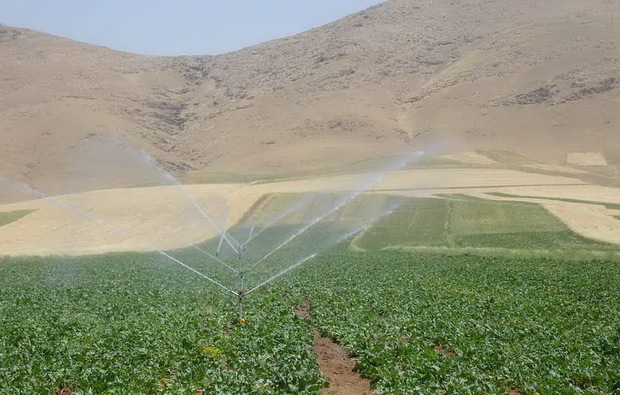 73 هزار هکتار از اراضی کرمانشاه مجهز به آبیاری تحت فشار است