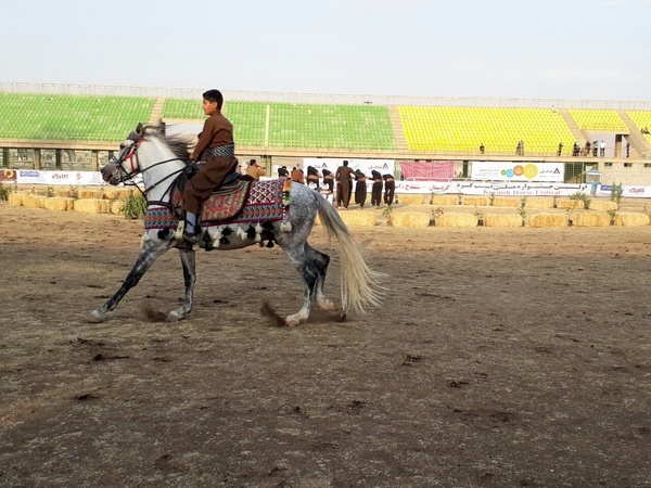 جشنواره اسب اصیل کرد در سنندج کلید خورد