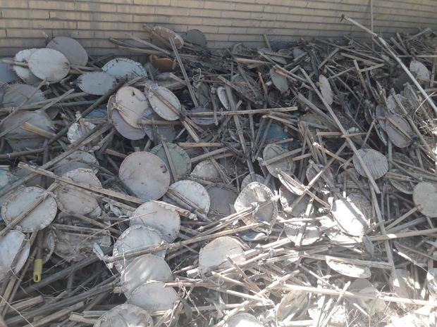 300 تله زنده گیری پرندگان در ایرانشهر جمع آوری شد