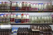افزایش خروج شیر خام از ایران؛ کاهش ۱۵ تا ۲۰ درصدی مصرف لبنیات؛ مردم ترجیح می‌دهند به‌جای دوغ نوشابه خریداری کنند!