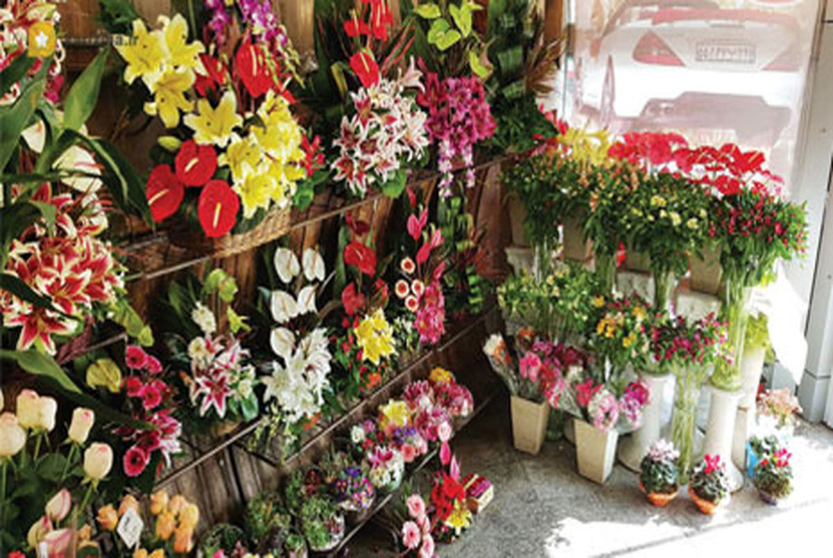 6 بازار گل و گیاه تهران را بشناسید