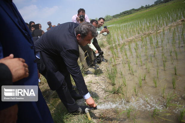 بهره برداری از ۳۵ پروژه کشاورزی مازندران آغاز شد