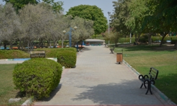 چهار طرح توسعه فضای سبز در شهر بوشهر افتتاح و اجرا شد