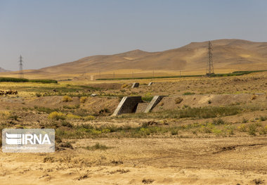 ۵۰ میلیارد تومان از اعتبارات صندوق توسعه ملی به منابع طبیعی کرمان اختصاص یافت