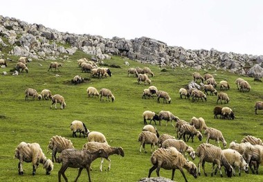 ییلاق سوباتان، بهشت زیبای ایران+ تصاویر