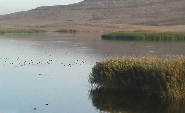 تالاب نیمه خشک جازموریان با بارش‌های فصلی بهاره آبگیری شد