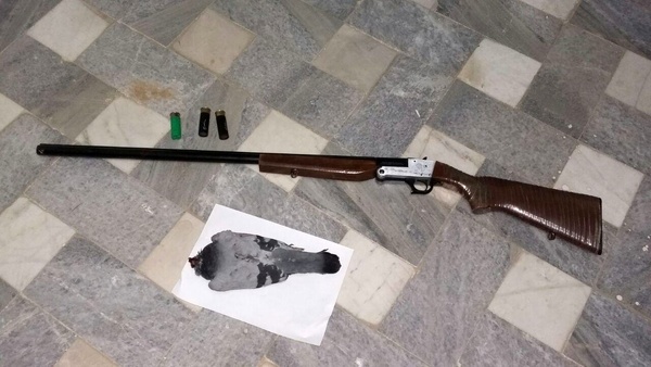 کشف و ضبط یک قبضه اسلحه قاچاق از شکارچی متخلف در تاکستان