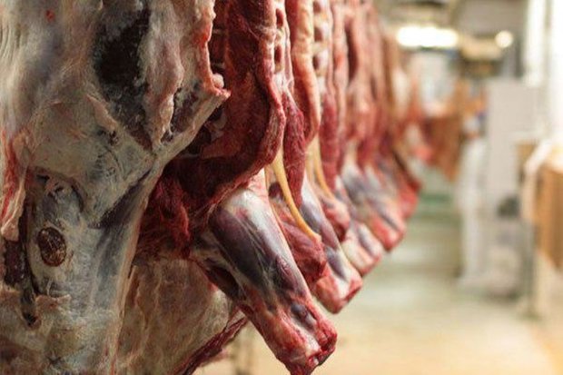 مرحله جدید عرضه گوشت منجمد ستاد تنظیم بازار در قزوین آغاز شد