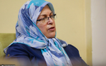 رییس جبهه اصلاحات: اگر دلایل ناترازی‌های انرژی رفع نشود، خسارت‌های ناشی از آن بیشتر و جبران آن‌ها ناممکن خواهد شد