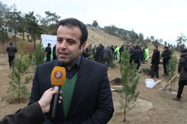 آغاز عملیات کاشت 40 هزار درخت در بوستان جنگلی چیتگر تهران