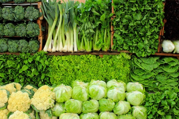 سالانه 7500 تن سبزی در بوکان تولید می شود