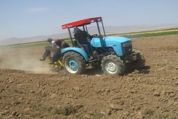 کشت مکانیزه زعفران در مزارع کشاورزی بوئین زهرا انجام شد
