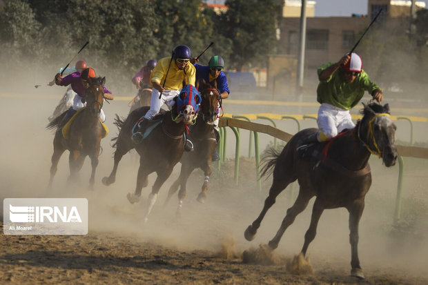 برترین‌های هفته هفتم مسابقات کورس اسب کشور شناخته شدند