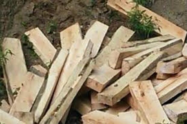 کشف بیش از دو تن چوب قاچاق در لنگرود