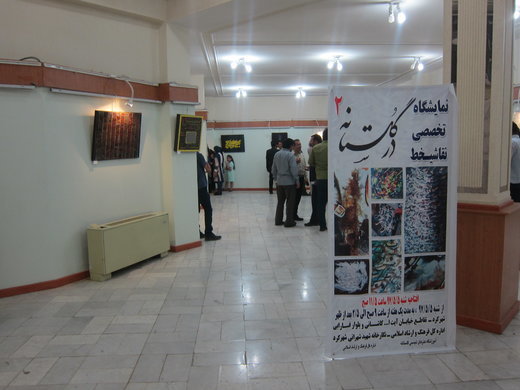نمایشگاه تخصصی نقاشی خط در شهرکرد افتتاح شد