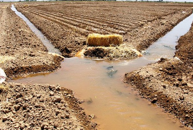 آب مورد نیاز کشاورزی شادگان رها سازی شد
