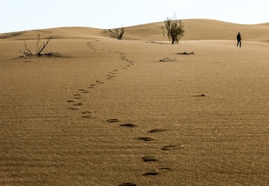 9 گردشگر گرفتار در کویر بشرویه نجات یافتند