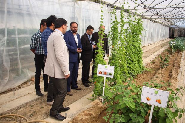 امکانات کشاورزی واحد آذربایجان غربی در بین جهادهای دانشگاهی کشور بی نظیر است
