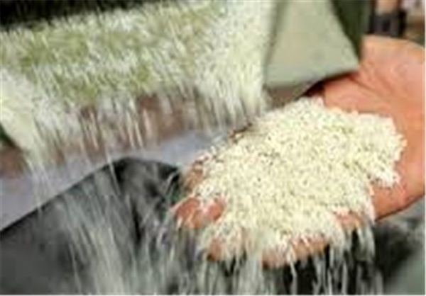 فعالیت 5 مرکز خرید برنج در مازندران