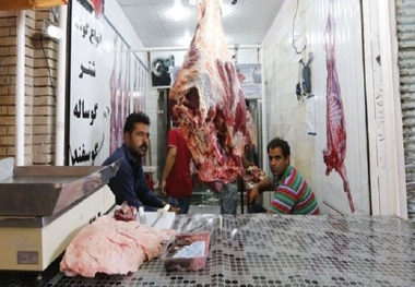 در زمینه عرضه گوشت قرمز کمبودی نداریم