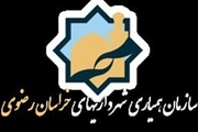 سامانه جامع آموزش کارکنان شهرداری های خراسان رضوی فعال شد