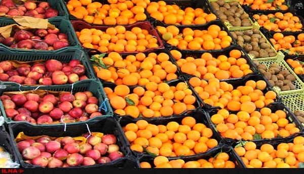 آغاز توزیع یکهزار تن سیب و پرتقال با قیمت دولتی در مازندران