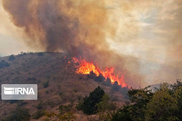 مهار آتش در جنگل‌های هیرکانی نیازمند مشارکت بین‌المللی