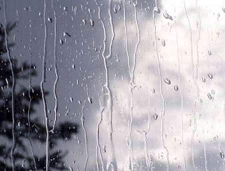 بارش پراکنده باران از اواخر وقت پنجشنبه درالبرز