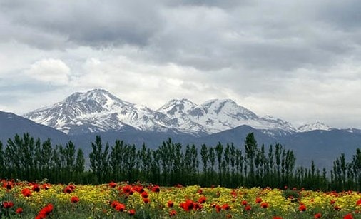 30 درصد تنوع زیستی کشور در استان اردبیل قابل مشاهده است
