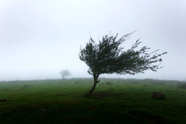 سرعت وزش باد در استان سمنان به ۹۴ کیلومتر بر ساعت رسید