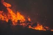 هوا گرم شد، جنگلهای یونان آتش گرفتند + عکس