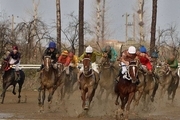 52 اسب در هفته هشتم اسبدوانی کورس پاییزه گنبد رقابت کردند