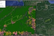 نگرانی صلح سبز از طرح پیشنهادیِ کاهش مناطق حفاظت‌شده در برزیل