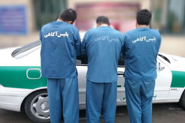 ۱۸۱ سارق و مالخر در استان بوشهر دستگیر شدند