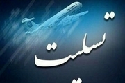 پیام تسلیت استاندار البرز در پی سقوط هواپیمای بوئینگ