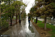 خیابان‌ها و مکان‌های خوش آب و هوای تهران در فصل بهار