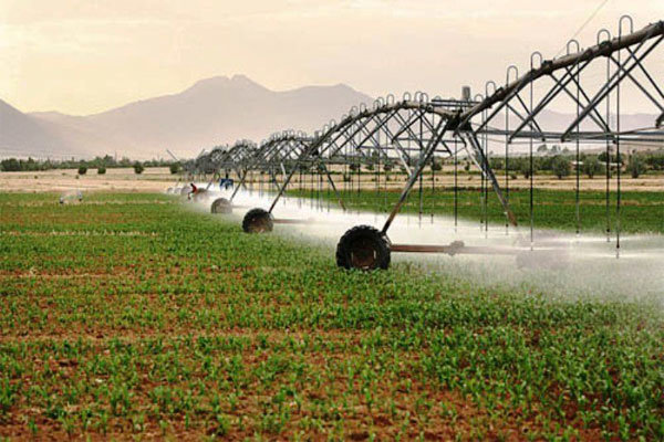 مدیر جهاد کشاورزی نطنز: 600 هکتار زمین کشاورزی به سیستم آبیاری قطره ای مجهز می شود