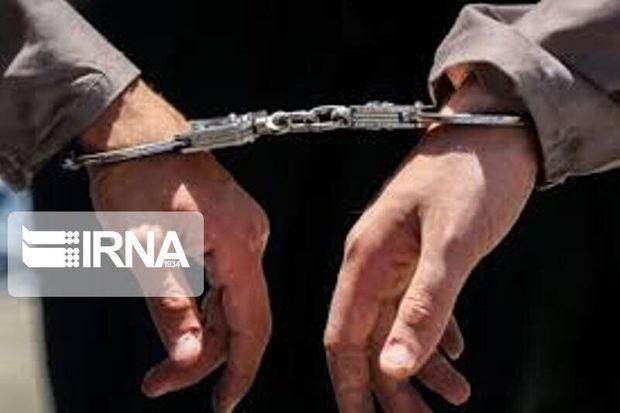 ۲ سارق حرفه‌ای منازل زنجان دستگیر شدند