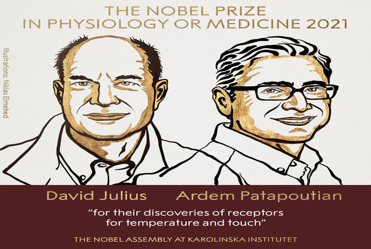 برندگان نوبل پزشکی ۲۰۲۱ اعلام شدند