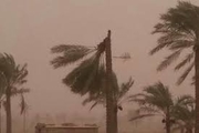 وام ۲۰ میلیون تومانی به آسیب دیدگان طوفان بوشهر