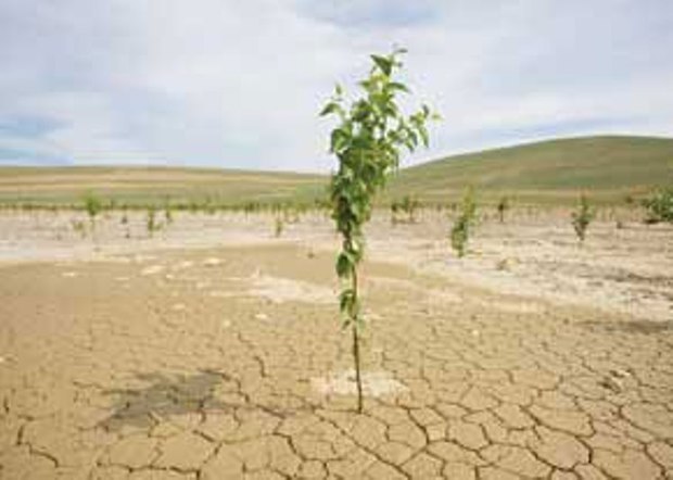 دشت تسوج بیشترین کاهش آب های زیرزمینی آذربایجان شرقی را دارد